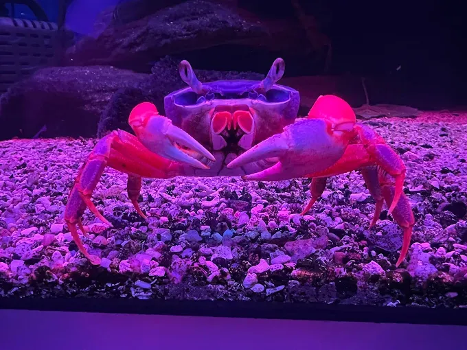 Oceanarium Międzyzdroje